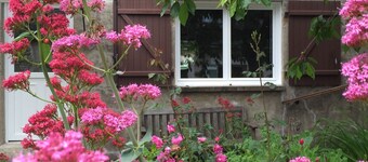 Nuevo en AMBOISE - Chanteloup cabaña con patio - 2 pers