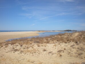 Vlak bij het strand