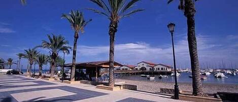 Beach nearby, sun loungers, beach towels