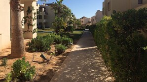A pathway flanked by greenery and buildings with a clear sky. - Lovely 2 bedroom,2 bathroom ground floor apartment adjacent to pool Sleeps 4/5. (San Javier)