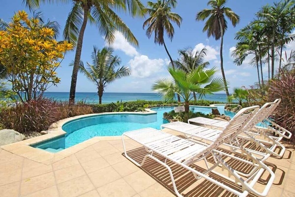 Shared swimming pool surround by private tropical gardens