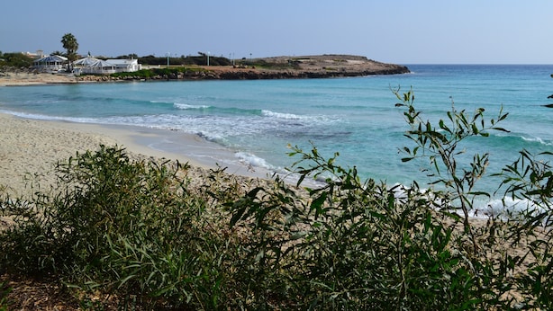 A beach with clear turquoise water, sandy shore, and some vegetation in the foreground. - Beautiful Modern ,Apartment in Larnaca Area, Stunning terrace area & WIFI, Pools (Pyla)