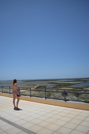 Lucy enjoying the view from the roof top.