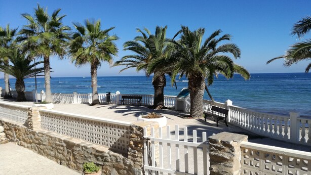 A coastal promenade with palm trees, a stone wall, and a white fence. - CHALET ON THE FIRST LINE OF THE SEA, 5 METERS !! FREE WIFI (El Mojón)
