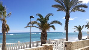 A coastal view with palm trees, a white fence, and a stone wall. - CHALET ON THE FIRST LINE OF THE SEA, 5 METERS !! FREE WIFI (El Mojón)