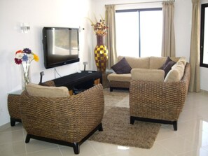 Smart TV, video games, DVD player, books