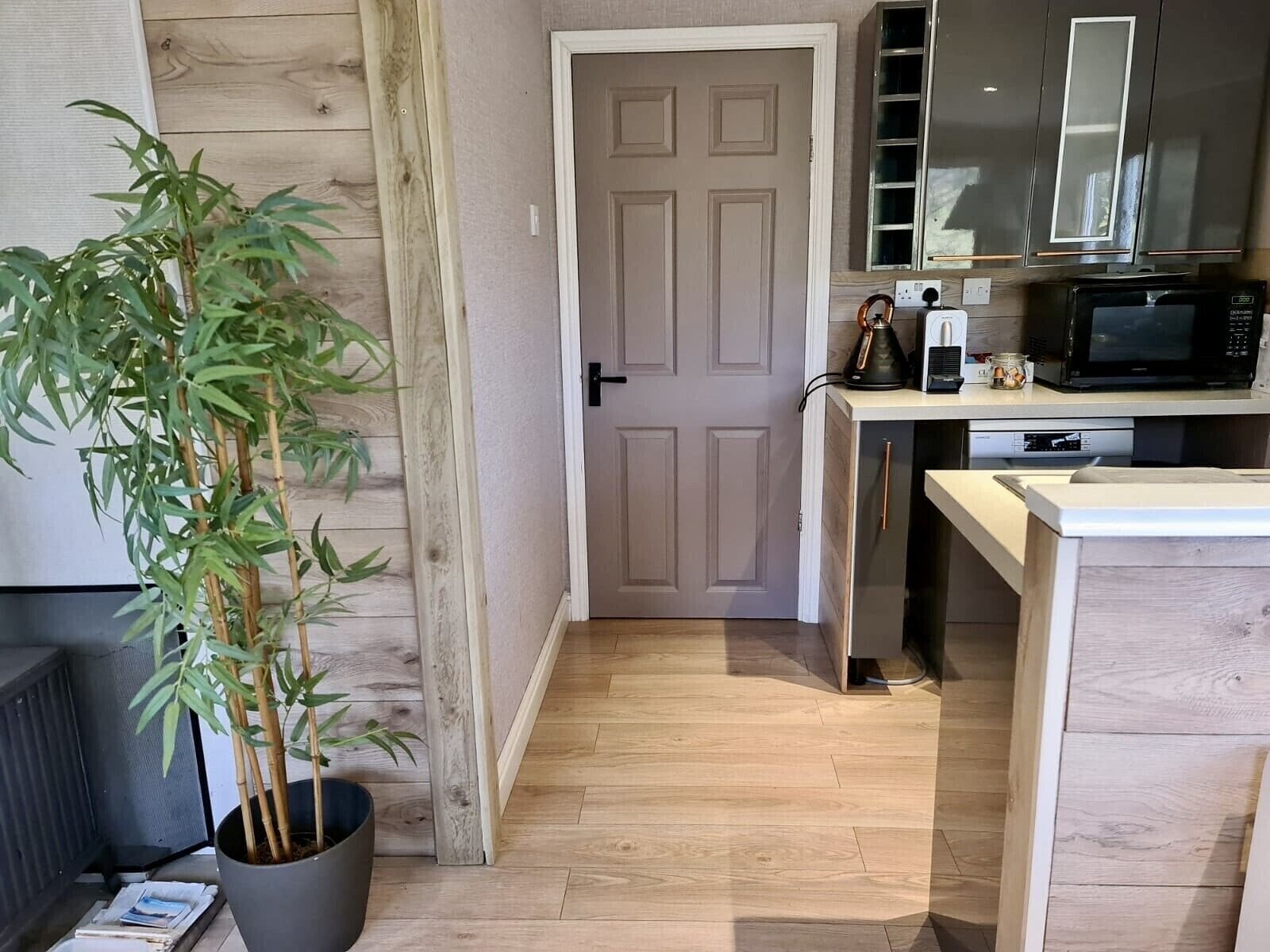 A compact kitchen with a microwave, kettle, and cabinets. A bamboo plant is in a pot near the entrance.