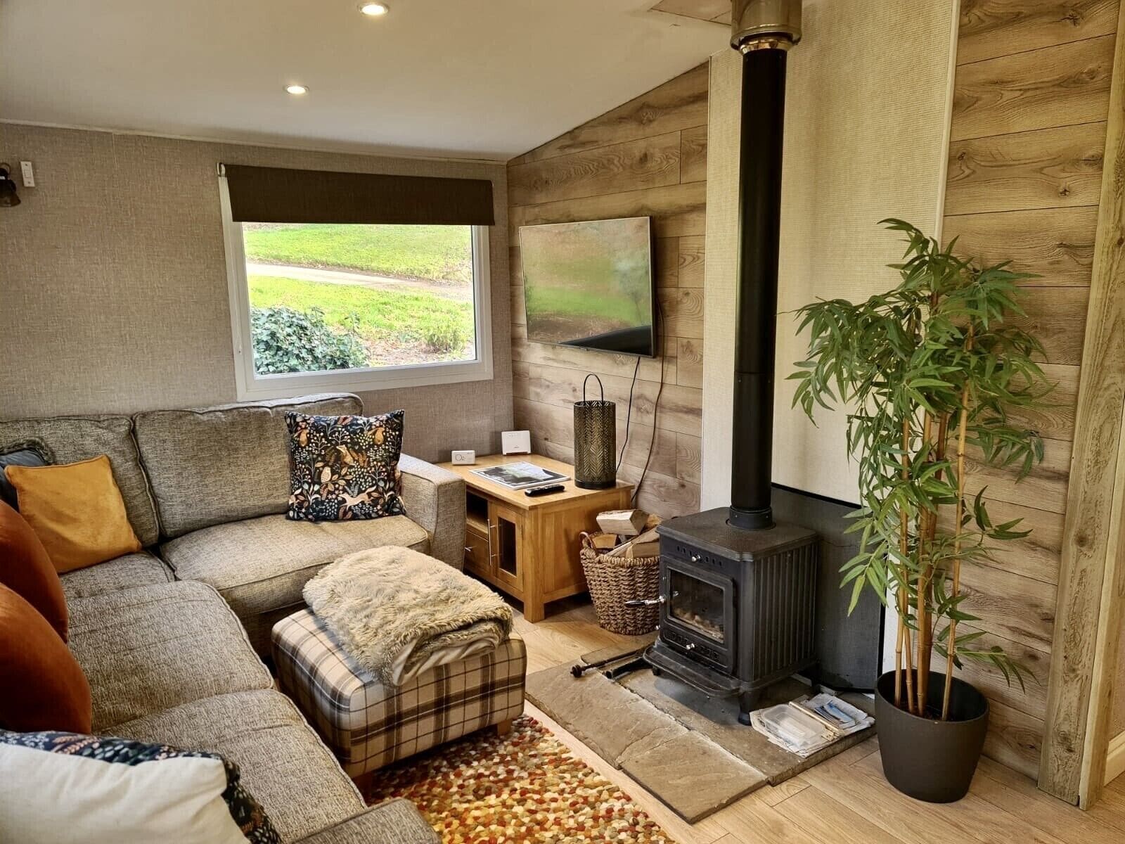 智能電視、壁爐、DVD 播放機、影像庫