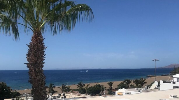 A rooftop terrace with white lounge chairs and a palm tree, overlooking a beach and the sea. - Vacation rental (vv) In Puerto Del Carmen, Lanzarote, Canary Islands (Puerto Del Carmen)