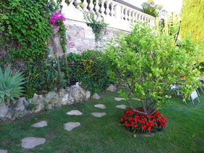 Terrein van de accommodatie