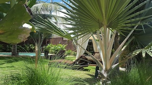 Jardines del alojamiento