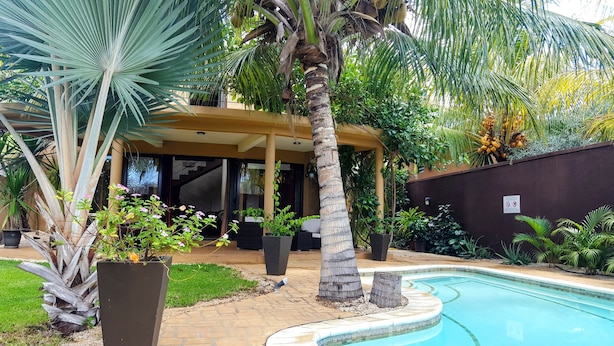 Zona de piscina con área de descanso cubierta, una palmera y diversas plantas en macetas.