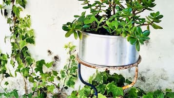 Área da propriedade