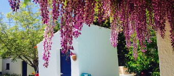 typisch Alentejo 30 km von Évora im Alentejo