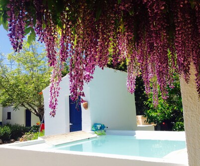 Private farm with pool in the Alentejo