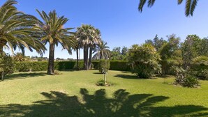 Een verzorgde tuin met palmboompjes, een keurig gemaaid gazon en een klein decoratief bouwwerk.