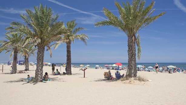 A beach with palm trees, sun loungers, and umbrellas. - Small indenpendent villa first line 50m. Air con. WIFI. Bbq. privat garden. (Dénia)