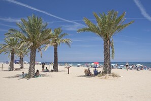 Een strand met palmbomen, ligbedden en parasols.
