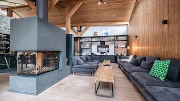 TV, fireplace, video games, DVD player