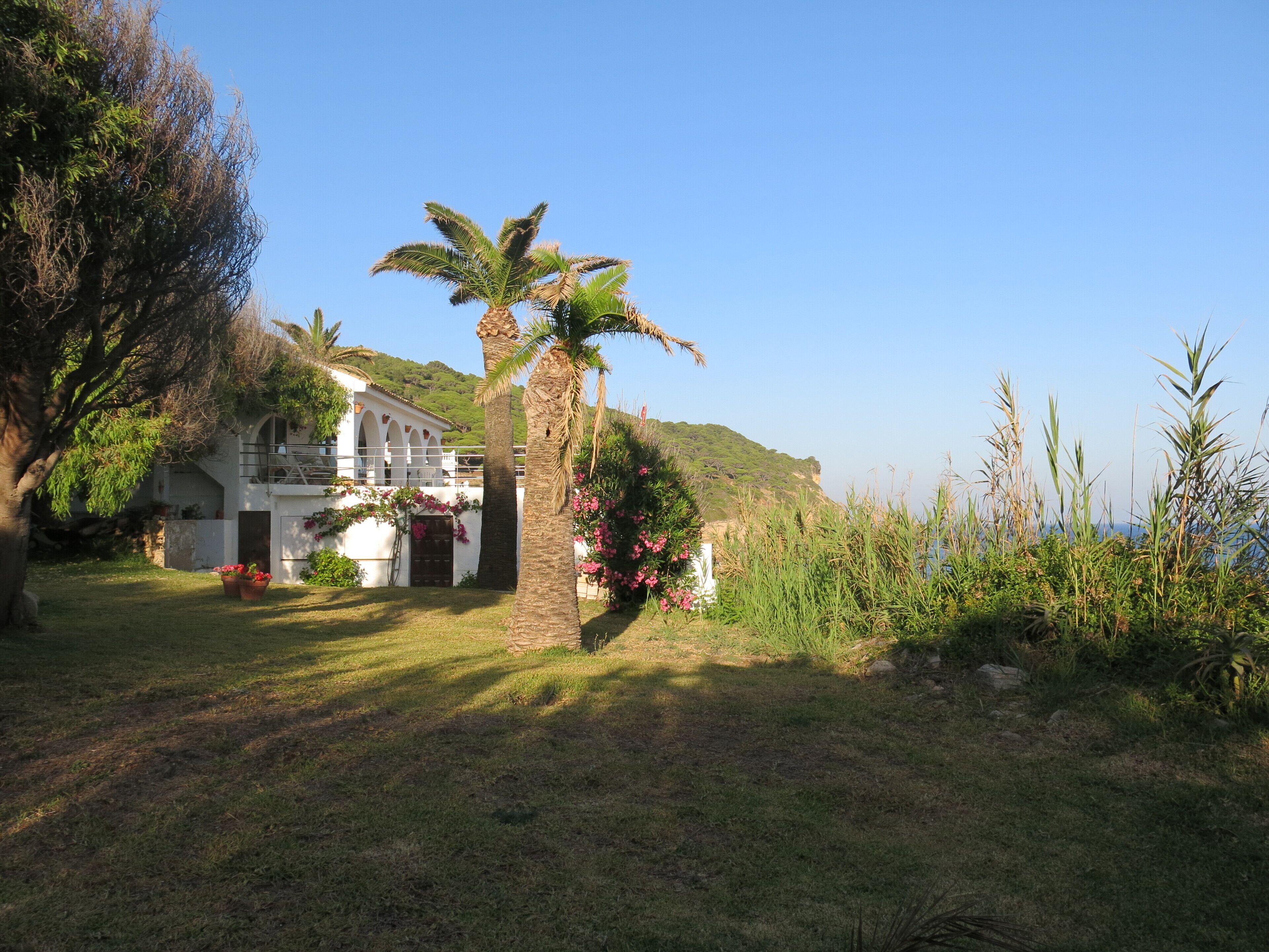 Una villa con fachada blanca, ventanas arqueadas y un balcón con vistas a un jardín exuberante con palmeras y plantas en flor.