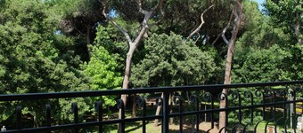 Apartment 500 mt. from the sea, in front of the Pineta, with private parking.