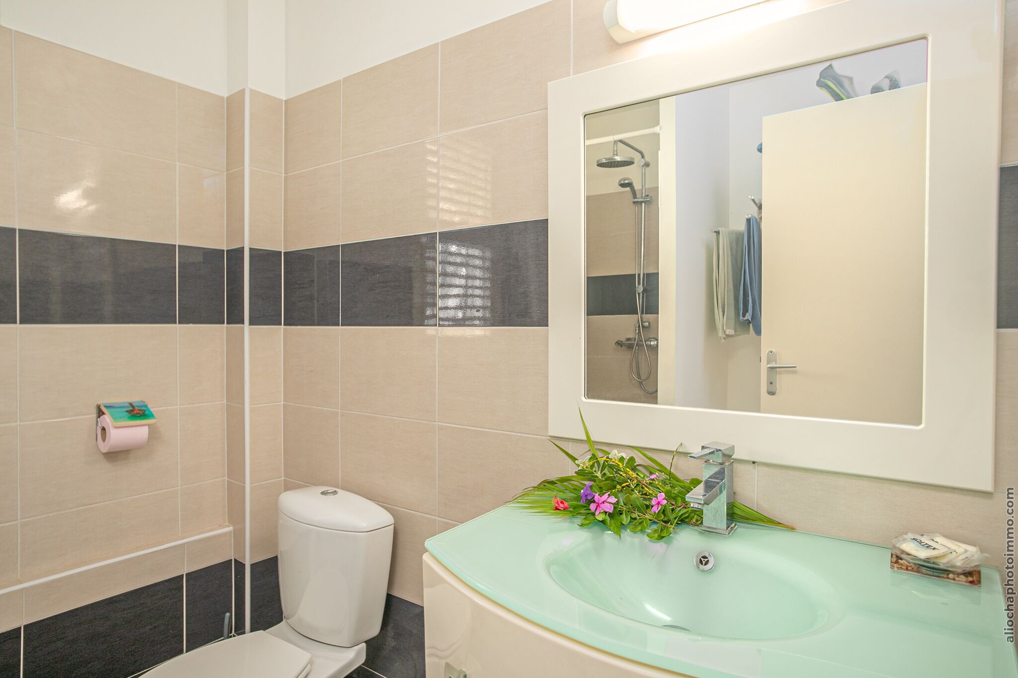Une salle de bain avec des toilettes, un lavabo et une douche.