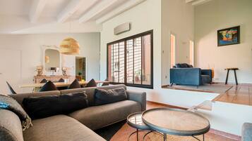 Télévision, cheminée, lecteur de DVD, livres