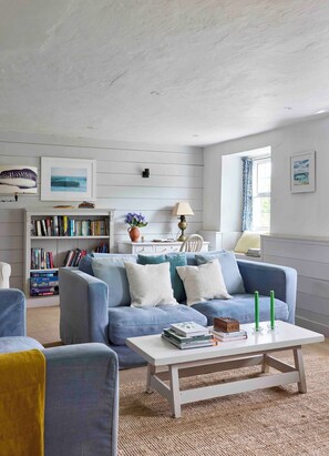 Smart TV, fireplace, books