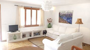 Televisie, een dvd-speler en boeken