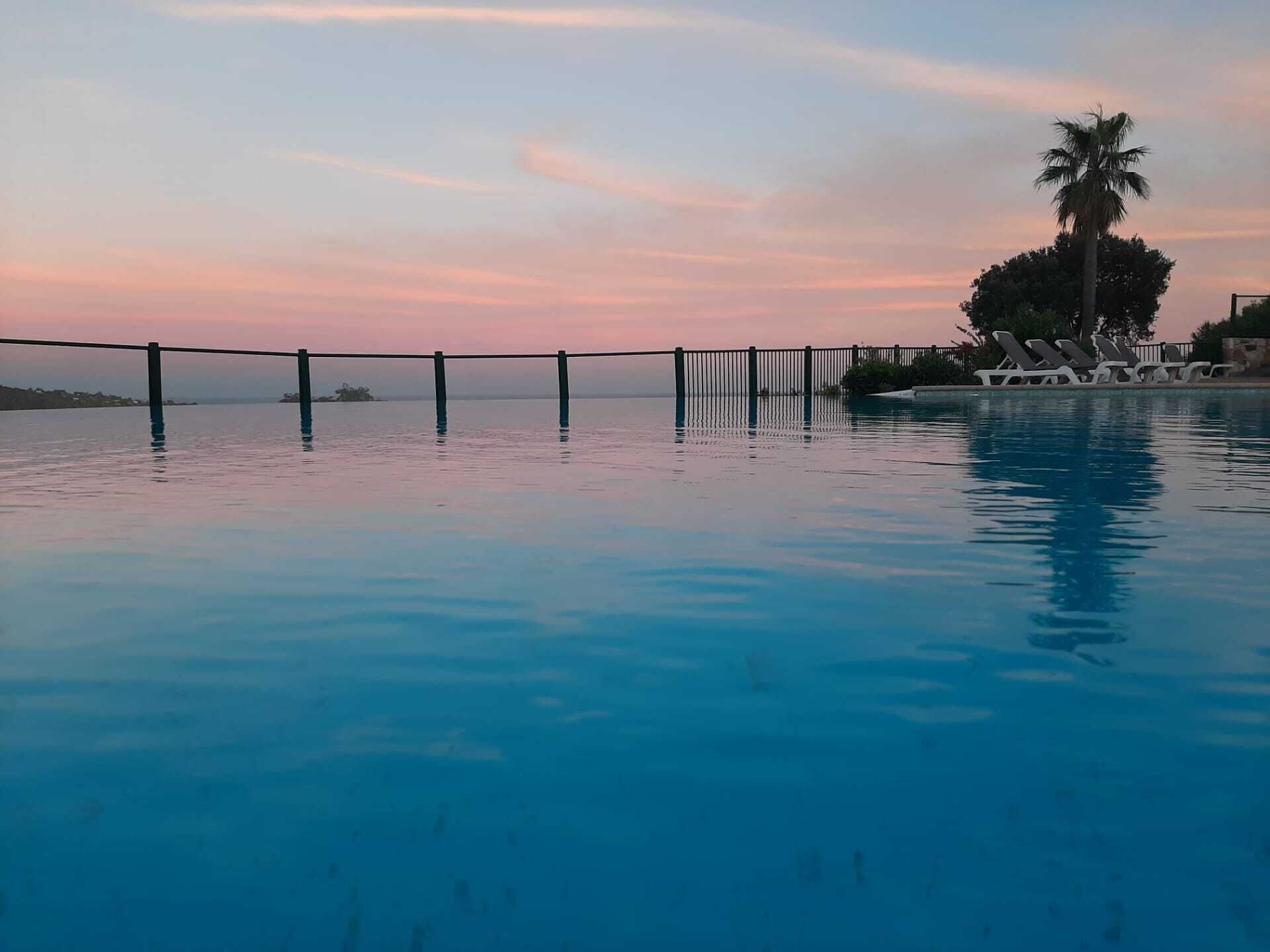 A swimming pool with a view of the sunset, a palm tree, and lounge chairs.