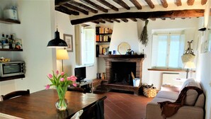 A cozy living room with a fireplace, wooden furniture, and a bookshelf. - Ancient house in the hill with a garden and view to the sea. Wi-Fi free (Camaiore, Lucca)