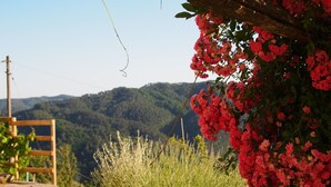 A rural landscape with a wooden gate, lush greenery, and a clear view of distant hills. - Ancient house in the hill with a garden and view to the sea. Wi-Fi free (Camaiore, Lucca)