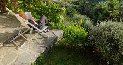 Ancient house in the hill with a garden and view to the sea. Wi-Fi free