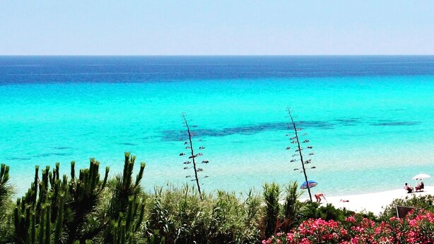 Une plage avec une eau turquoise et limpide, quelques personnes et de la végétation au premier plan.