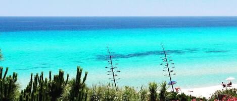On the beach, sun loungers, beach towels