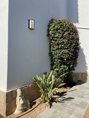 Details aan de buitenkant