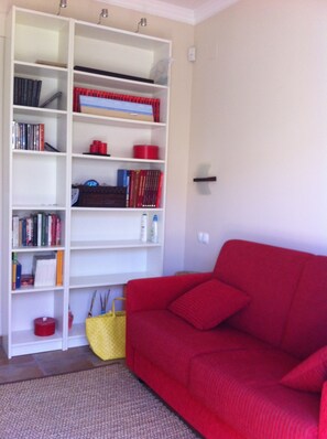 Smart TV, fireplace, DVD player, books