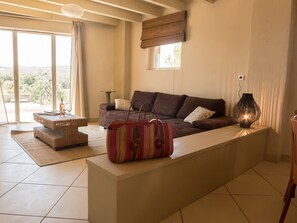 TV, fireplace, DVD player