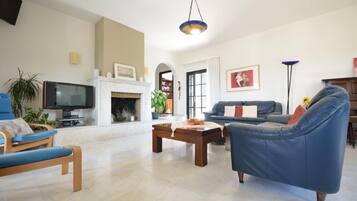Smart TV, fireplace, DVD player, books