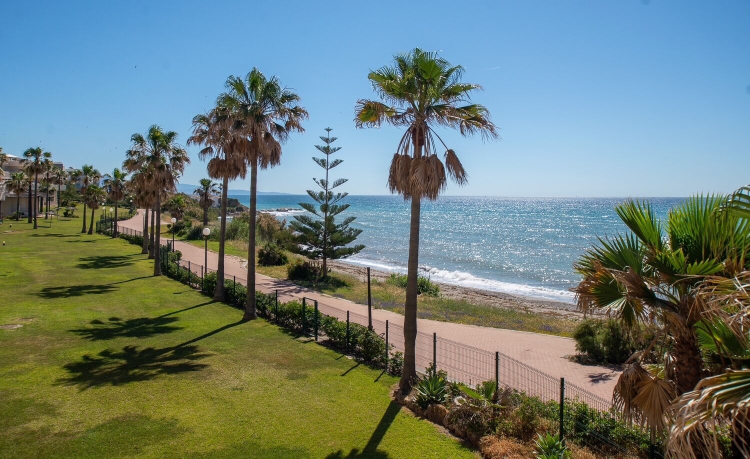 A coastal walkway lined with palm trees and a beach view.