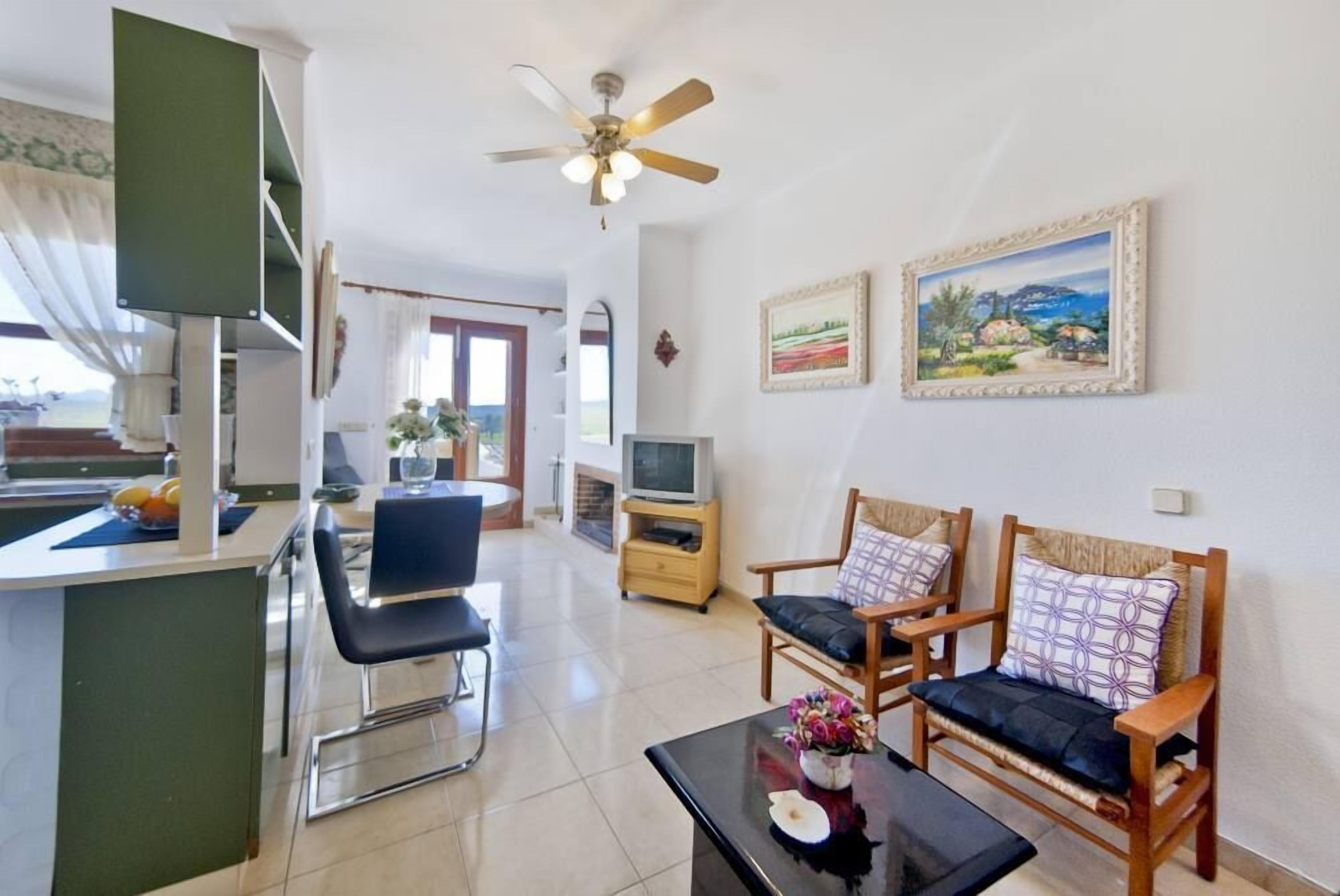 Televisie, een open haard en boeken