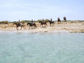 A beach with clear water and people riding horses along the shore.