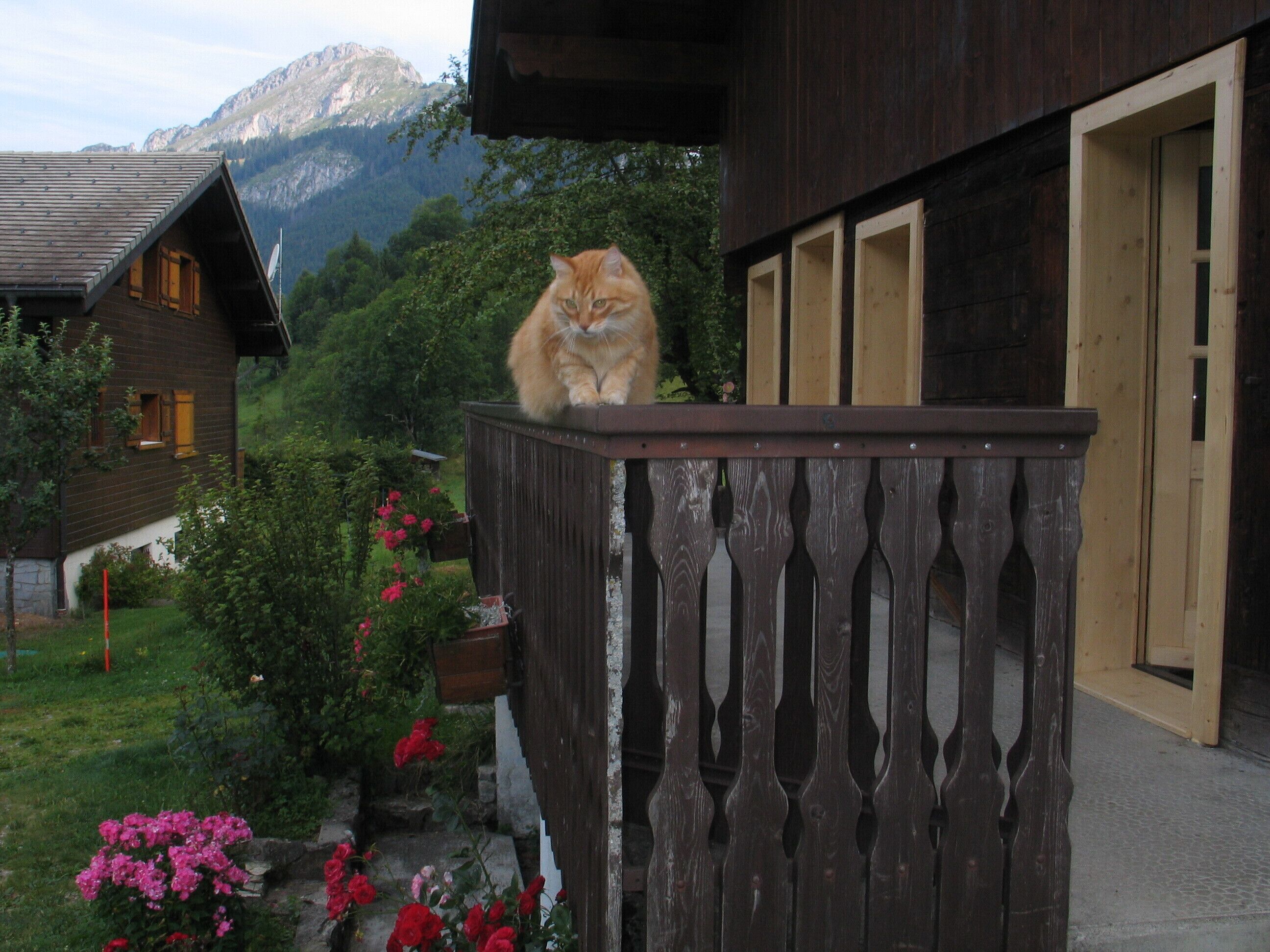 Enceinte de l’hébergement