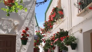 Une rue étroite bordée de bâtiments blancs, de jardinières suspendues et d’un lampadaire.