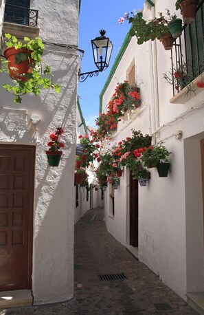 Detalle exterior