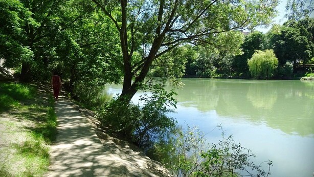 A serene riverside path with trees and a calm body of water. - House / Villa - Saint Maur des Fossés - 30mn from Paris center (Saint-Maur-des-Fosses)