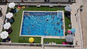 En vy från ovan av en rektangulär swimmingpool omgiven av ett vitt staket, med flera parasoller och solstolar placerade runt om.
