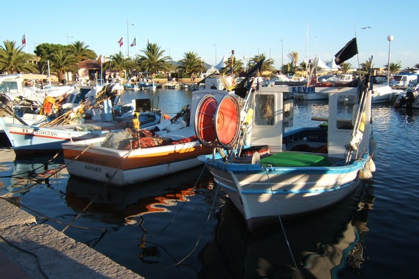 Port de Sanary, Bateaux de pêche
