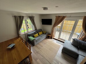 Télévision, cheminée, lecteur de DVD, livres