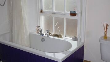 Bathtub, hair dryer